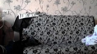 Порно видео от студии Hclips